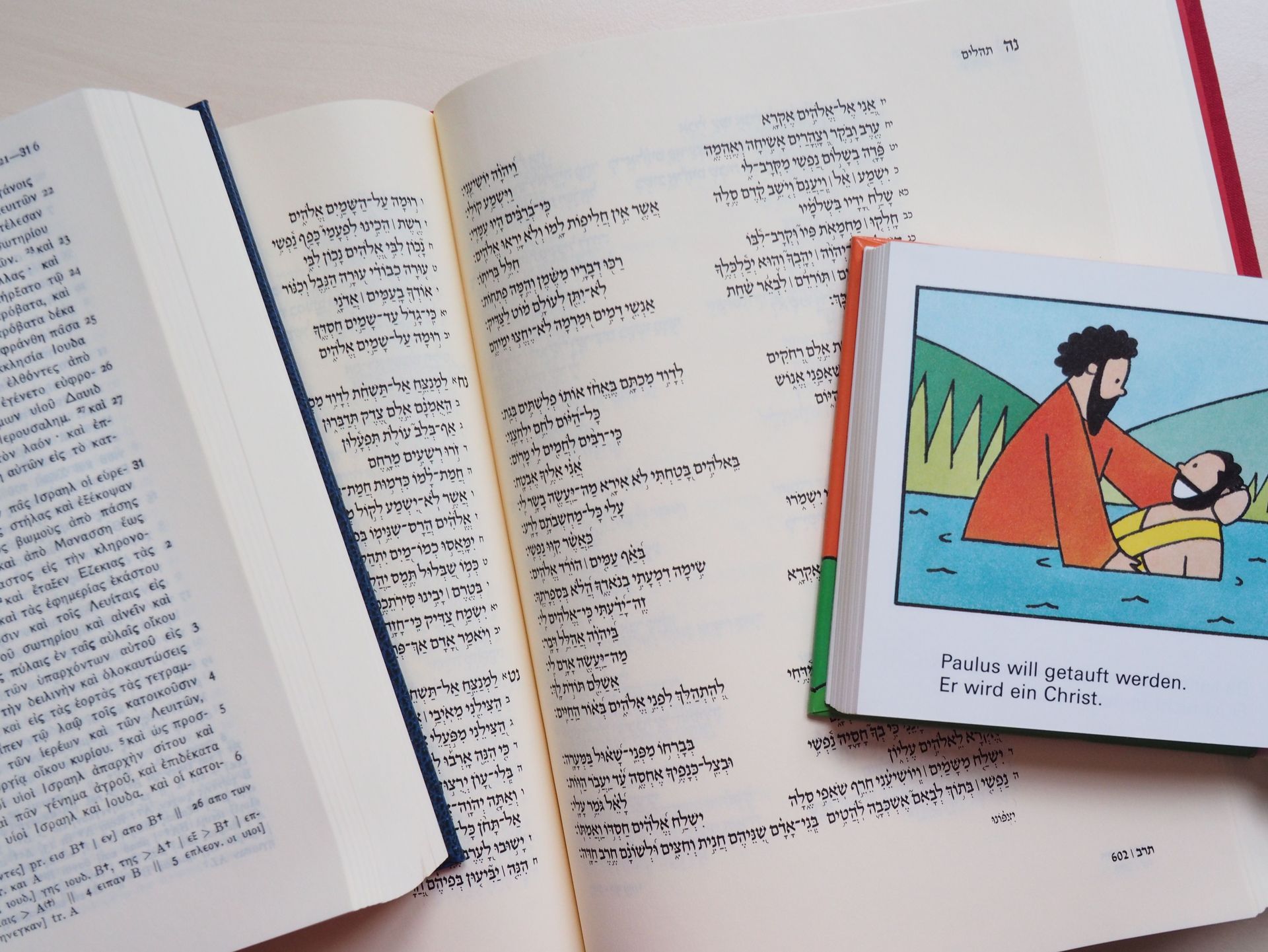 Verschiedene Bibelausgaben, darunter auch eine Kinderbibel, liegen aufgeschlagen auf einem Tisch und überlappen sich so, dass jede einzelne gut zu erkennen ist.