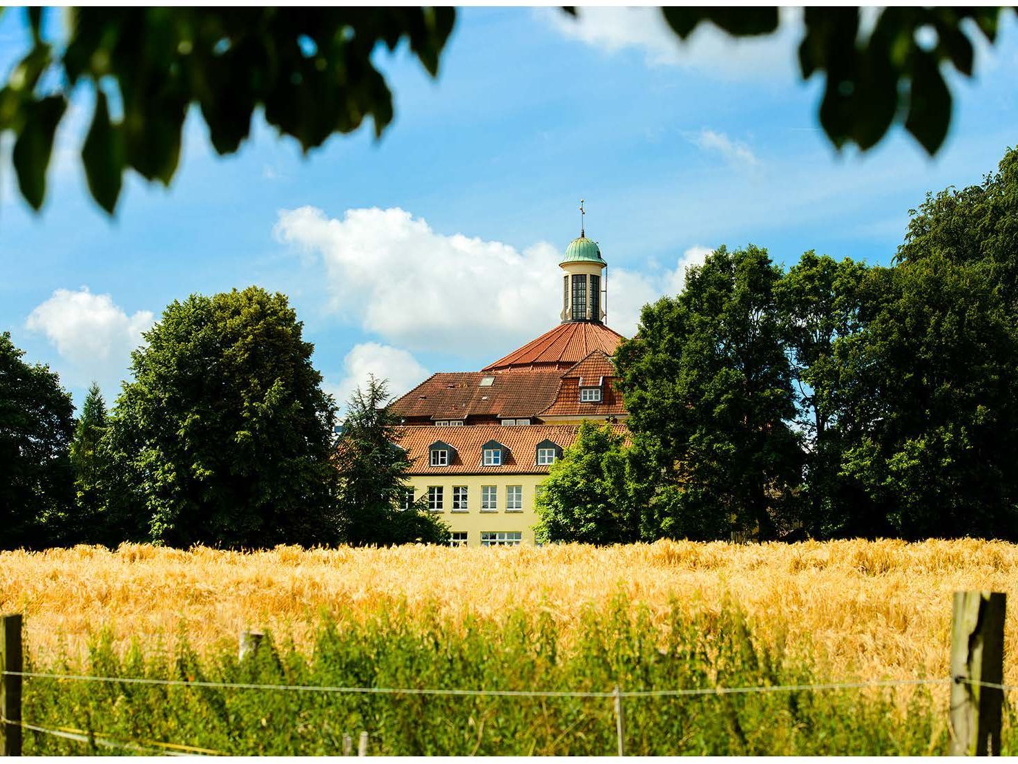 Am Rand eines Feldes mit sommerlichem, gelblichem Getreide liegt Haus Ohrbeck, links und rechts umrahmt von hohen Bäumen.