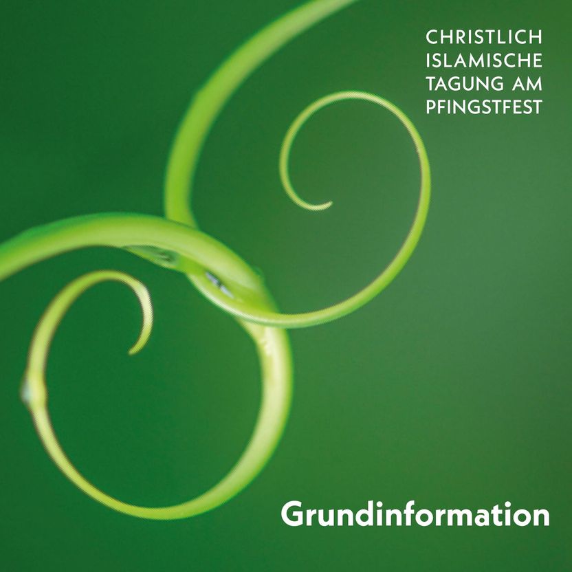 Vor dunkelgrünem Hintergrund greifen zwei von oben und unten ins Bild kommende Pflanzenranken ineinander.